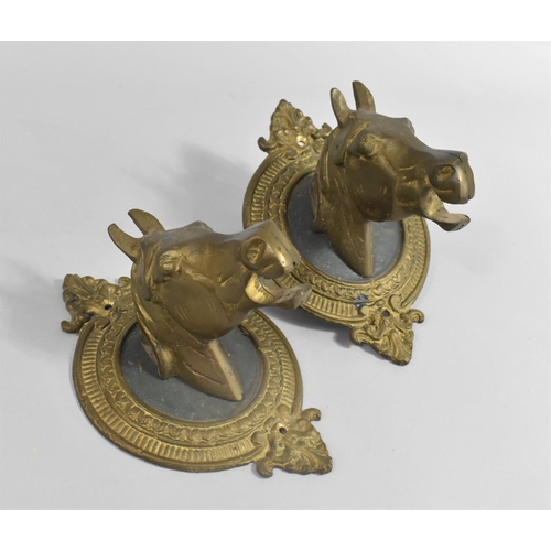 51 - A Pair of Brass Wall Brackets in the Form of Horses Heads, 22cms Wide