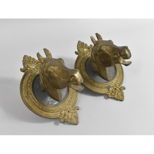 51 - A Pair of Brass Wall Brackets in the Form of Horses Heads, 22cms Wide