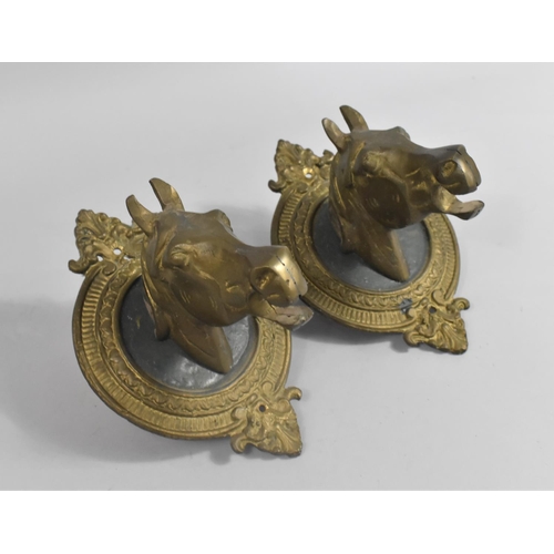 51 - A Pair of Brass Wall Brackets in the Form of Horses Heads, 22cms Wide