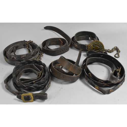 401 - A Collection of Victorian and Later Leather Harness Reins, most with Brass Mounts