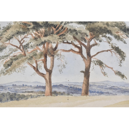 290 - A Framed Watercolour Depicting Trees in Landscape, 23x15cm