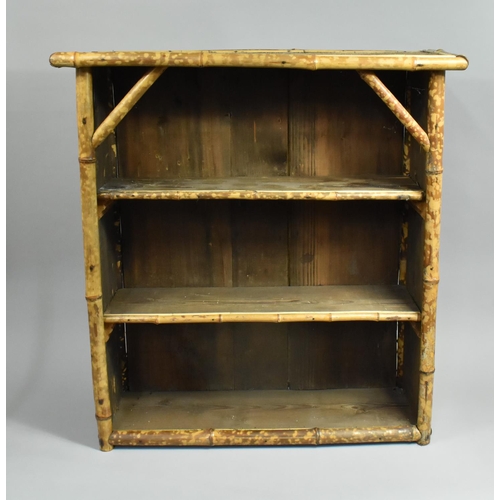 36 - An Edwardian Bamboo Two Shelf Open Bookcase, 76cms Wide