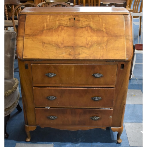 495 - A Mid 20th Century Burr Walnut Three Drawer Bureau, 77cm wide