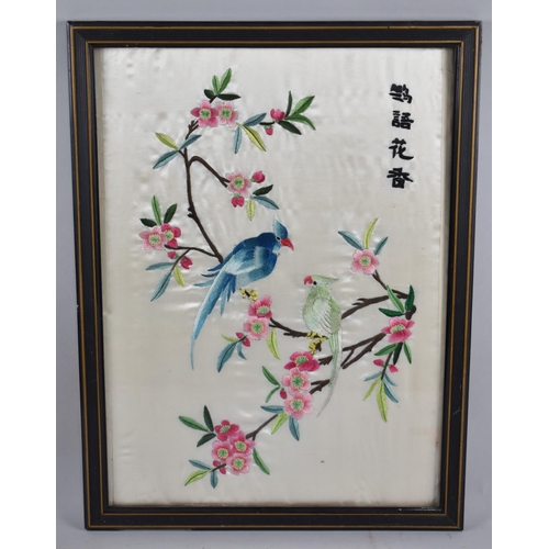 303 - A Framed Chinese Silk Embroidery, Parrots on Branch with Blossom, 34x46cm