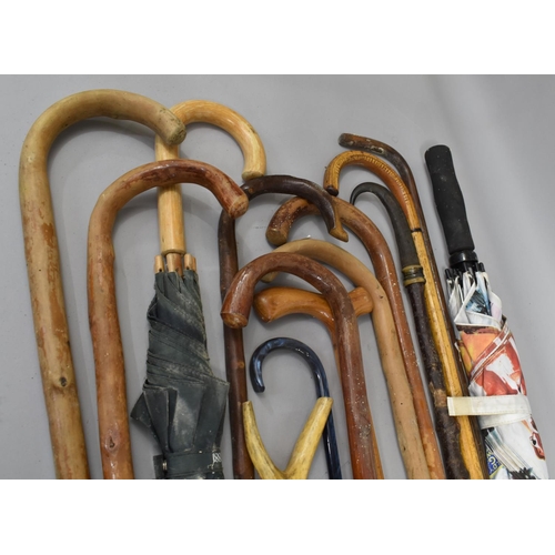 416 - A Collection of Vintage Walking Sticks and Umbrellas