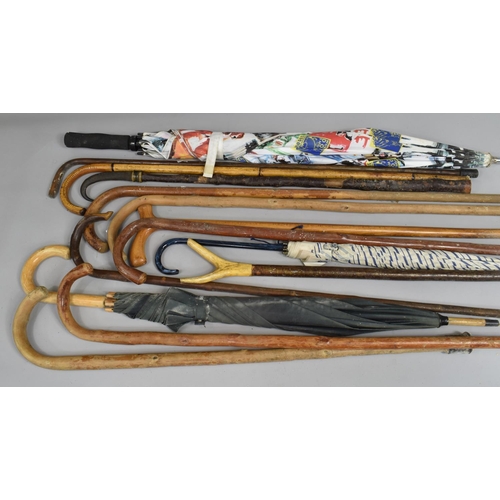 416 - A Collection of Vintage Walking Sticks and Umbrellas