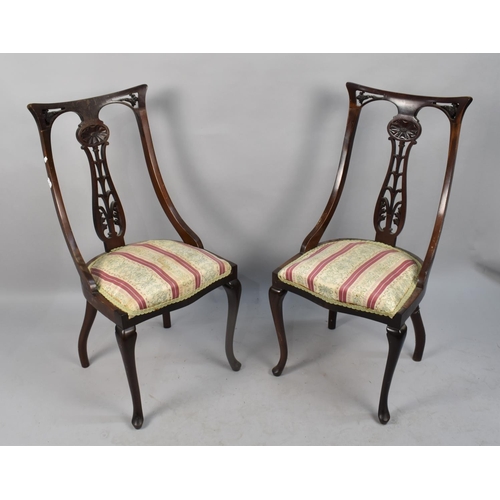 498 - A Pair of Mahogany Framed Edwardian Salon Chairs with Pierced Splats