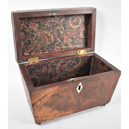 5 - A 19th Century Burr Walnut Sarcophagus Shaped Tea Caddy for Restoration, Bone Escutcheon, 23cms Wide