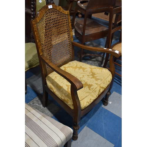 503 - An Edwardian Cane Backed Scroll Armchair with Cushion Seat