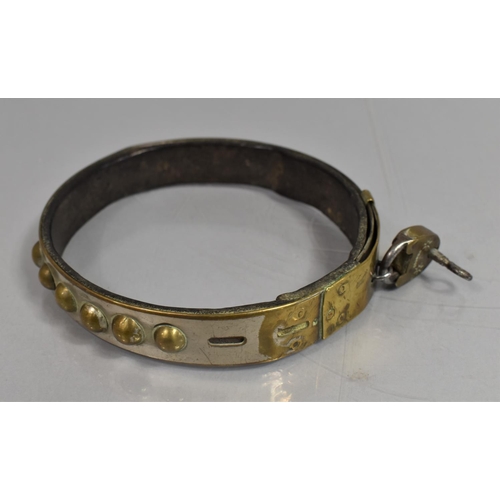 32 - A 19th Century Silver Plate on Brass Dog Collar with Leather Lining, Buckle Clasp Complete with Padl... 