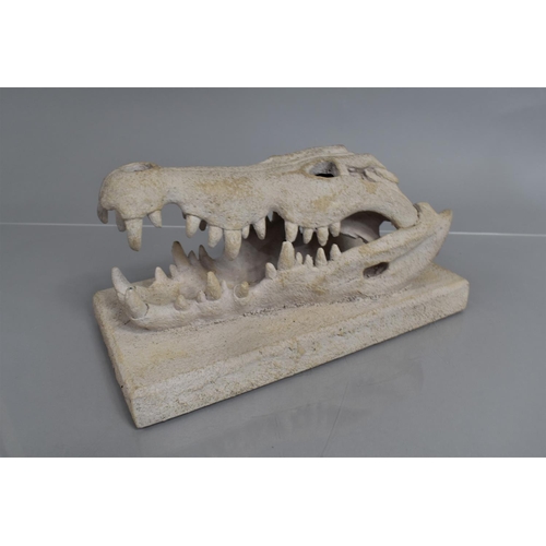 65 - An Interesting Natural History Plaster Cast of Crocodile Skull Mounted on a Wooden Plinth, 30x14x14c... 