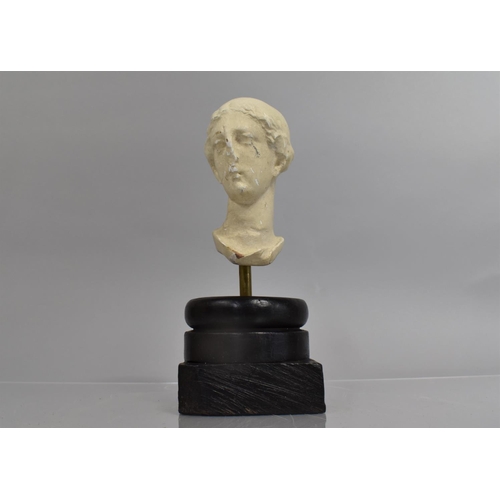 66 - An Early 20th Century Plaster Replica of a Classical Bust, Mounted on an Ebonised Wooden Plinth. 26c... 