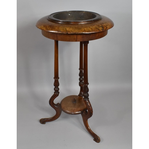 24 - A 19th Century Walnut Jardiniere Table with a Circular Burr Walnut Top over Three Shaped Legs, 45cms... 