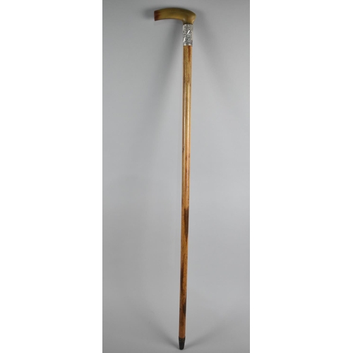 120 - A Vintage Horn Handled Malacca Walking Stick with Silver Band