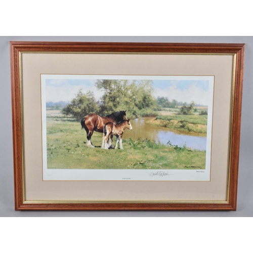 288 - A Framed Limited Edition David Shepherd Print, 