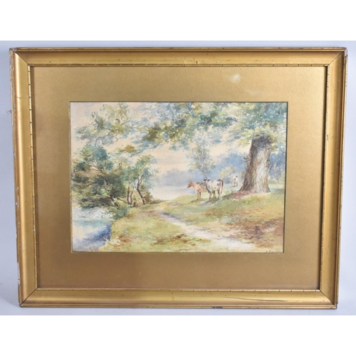 305 - A Framed 19th Century Watercolour Depicting Cattle Beside River, 36x26cms