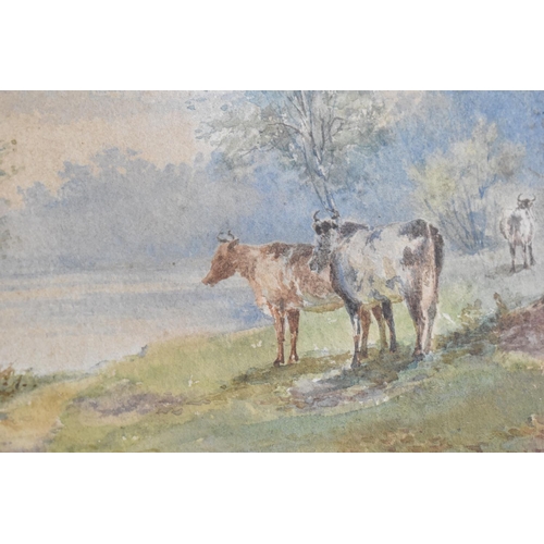 305 - A Framed 19th Century Watercolour Depicting Cattle Beside River, 36x26cms