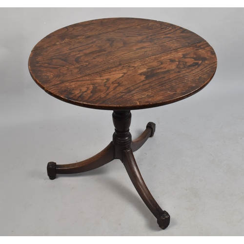 553 - A 19th Century Circular Topped Tripod Table, Oak, Snap top requires attention, 70cms Diameter