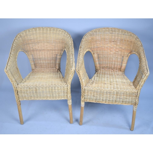 511 - A Pair of Woven Conservatory Tub Chairs