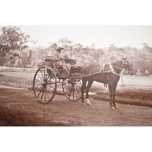 107 - An Album Containing British Army Polo Ponies, India Circa 1908