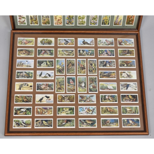 232 - Two Framed Players Cigarette Cards, Birds and Their Young and Wild Flowers