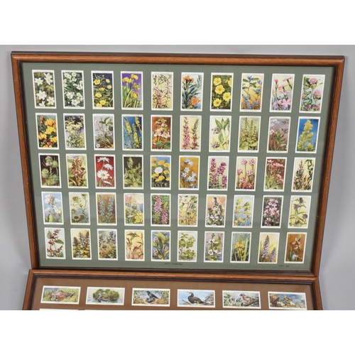 232 - Two Framed Players Cigarette Cards, Birds and Their Young and Wild Flowers