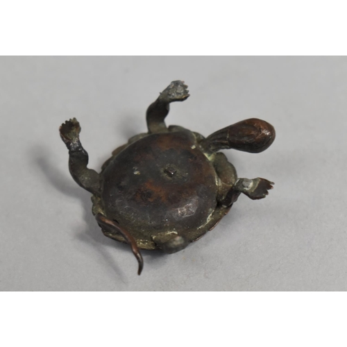 243 - A Small Japanese Bronze Study of a Terrapin