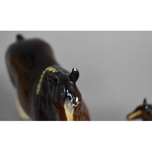 271 - A Beswick Horse, Shire Mare 818, Gloss Brown (Chipe to Ear) Together with a Beswick Foal