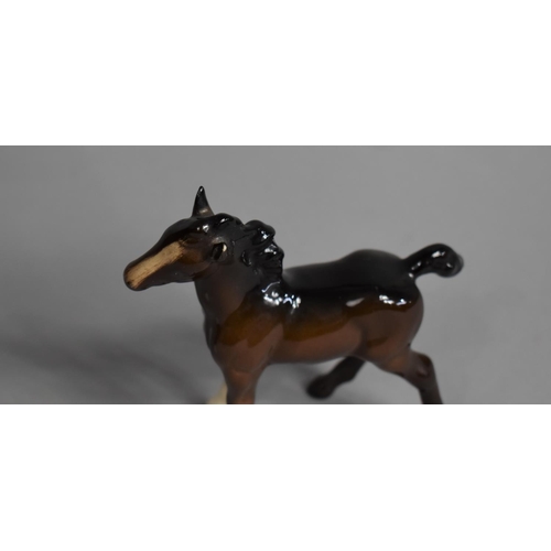 271 - A Beswick Horse, Shire Mare 818, Gloss Brown (Chipe to Ear) Together with a Beswick Foal