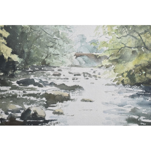 296 - A Framed Watercolour, River Dwyton by John Mellor