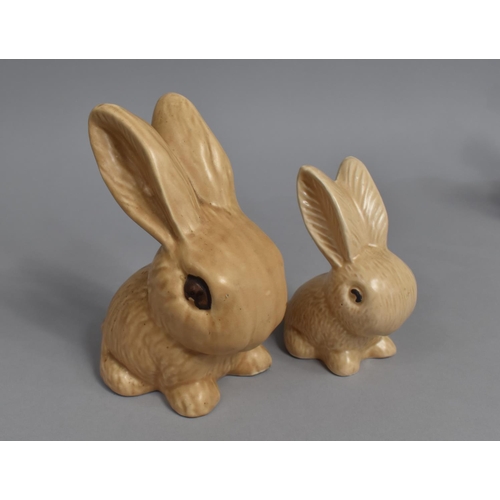 361 - Two Sylvac Rabbits, Tallest 17cms High