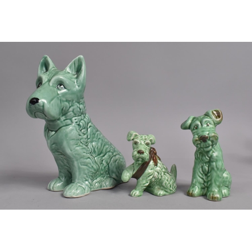 362 - Three Sylvac Terrier Dogs, Green Glaze to include Example 1455 and 1207, Tallest 20cms High