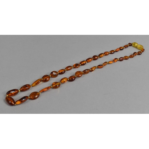 474 - A String of Amber Beads