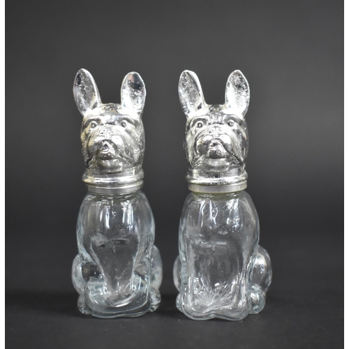 151 - A Pair of Small Glass and Silver Plate Salt and Pepper Pots in the Form of Seated Dogs, 8cm high