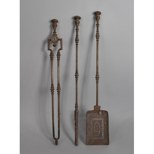 212 - A Set of Three 19th Century Steel Long Handled Fire Irons, the Poker 75cm Long