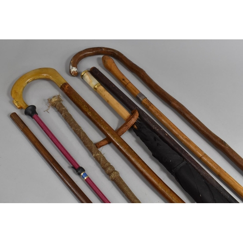 213 - A Collection Various Walking Sticks, Swagger Stick, Parasol, Riding Whips etc