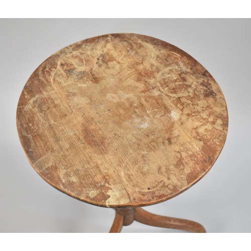 267 - A Late 19th Century Oak Circular Tripod Table, 43cm wide