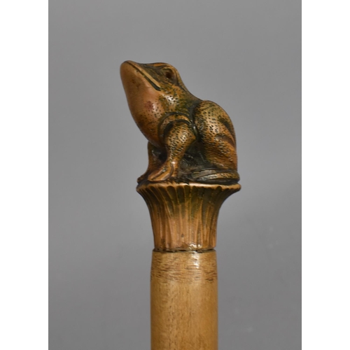 86 - A Novelty Walking Cane, Handle in the Form of a Seated Frog, Tapering Form, 103.5cms High