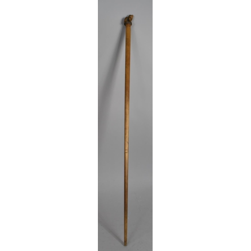 86 - A Novelty Walking Cane, Handle in the Form of a Seated Frog, Tapering Form, 103.5cms High