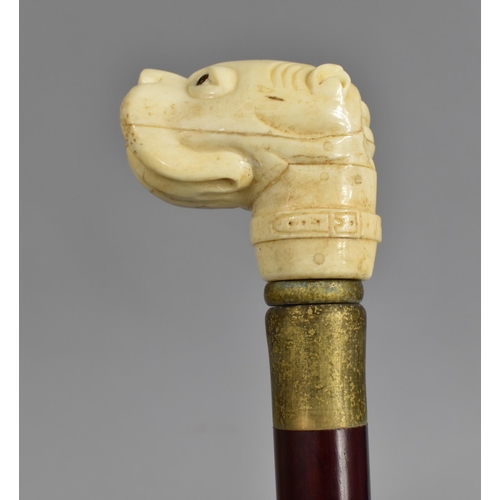 87 - A Novelty Faux Ivory Handled Walking Cane with Dogs Head, 89cms Long