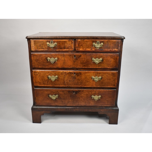 121 - A 19th Century Crossbanded Burr Walnut Chest of Two Short and Three Graduated Long Drawers, String I... 