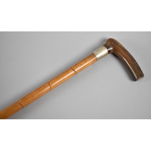 128 - An Edwardian Horn Handled Silver Banded Bamboo Walking Cane, London 1904