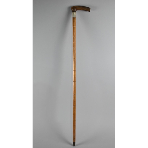 128 - An Edwardian Horn Handled Silver Banded Bamboo Walking Cane, London 1904