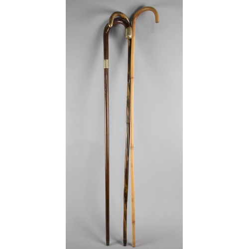 161 - A Collection of Three Walking Sticks, Two with Silver Mounts