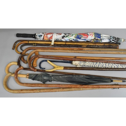 186 - A Collection of Vintage Walking Sticks and Umbrellas