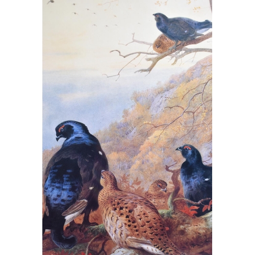 331 - A Limited Edition Archibald Thorburn Print, 198/500, 35x48cm