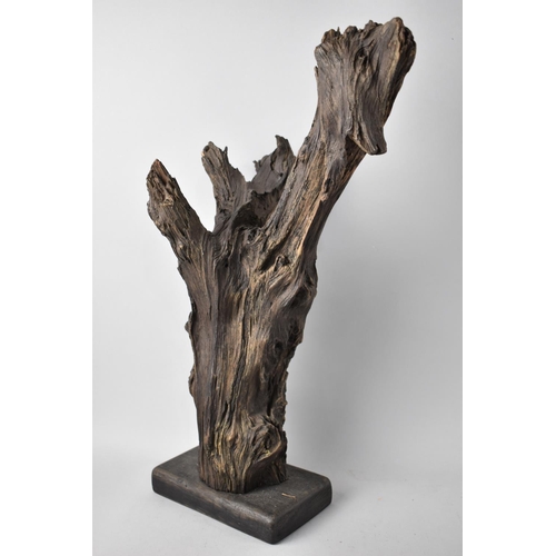 75 - A Section of Petrified Timber or Driftwood on Wooden Plinth, 45cms High