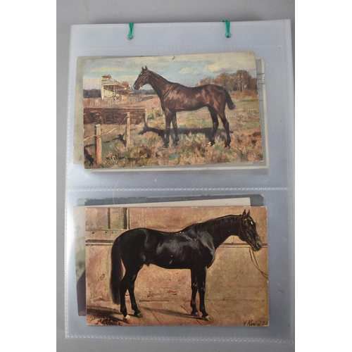 86 - A Collection of 48 Early 20th Century Postcards, Horses