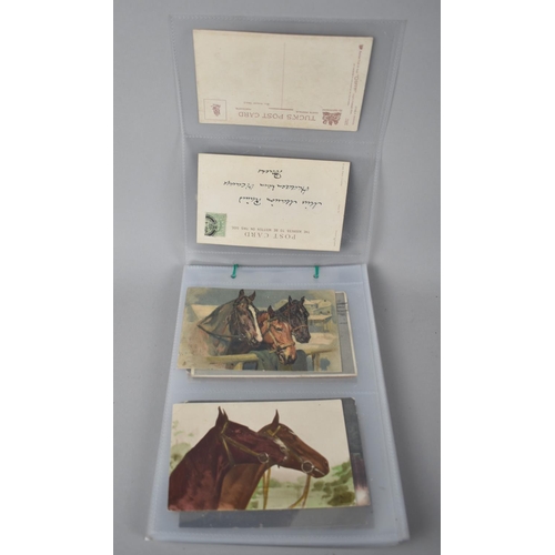 86 - A Collection of 48 Early 20th Century Postcards, Horses