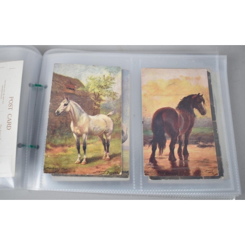 86 - A Collection of 48 Early 20th Century Postcards, Horses